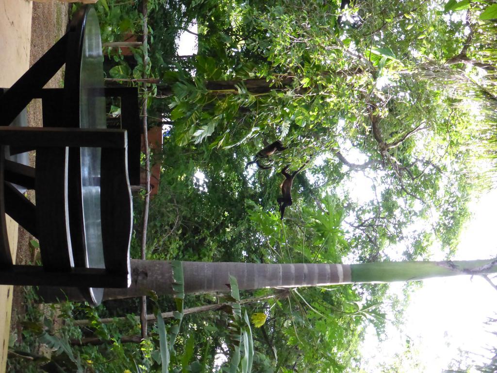 Mundo Milo Eco Lodge Paraiso  Exterior photo