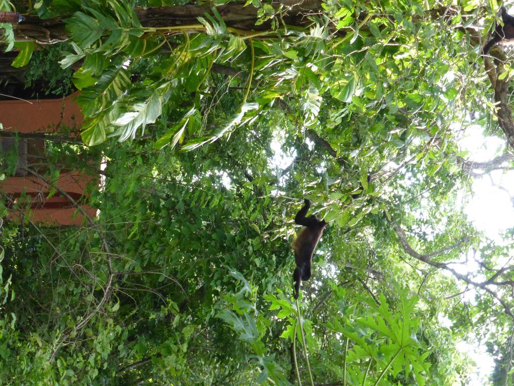 Mundo Milo Eco Lodge Paraiso  Exterior photo